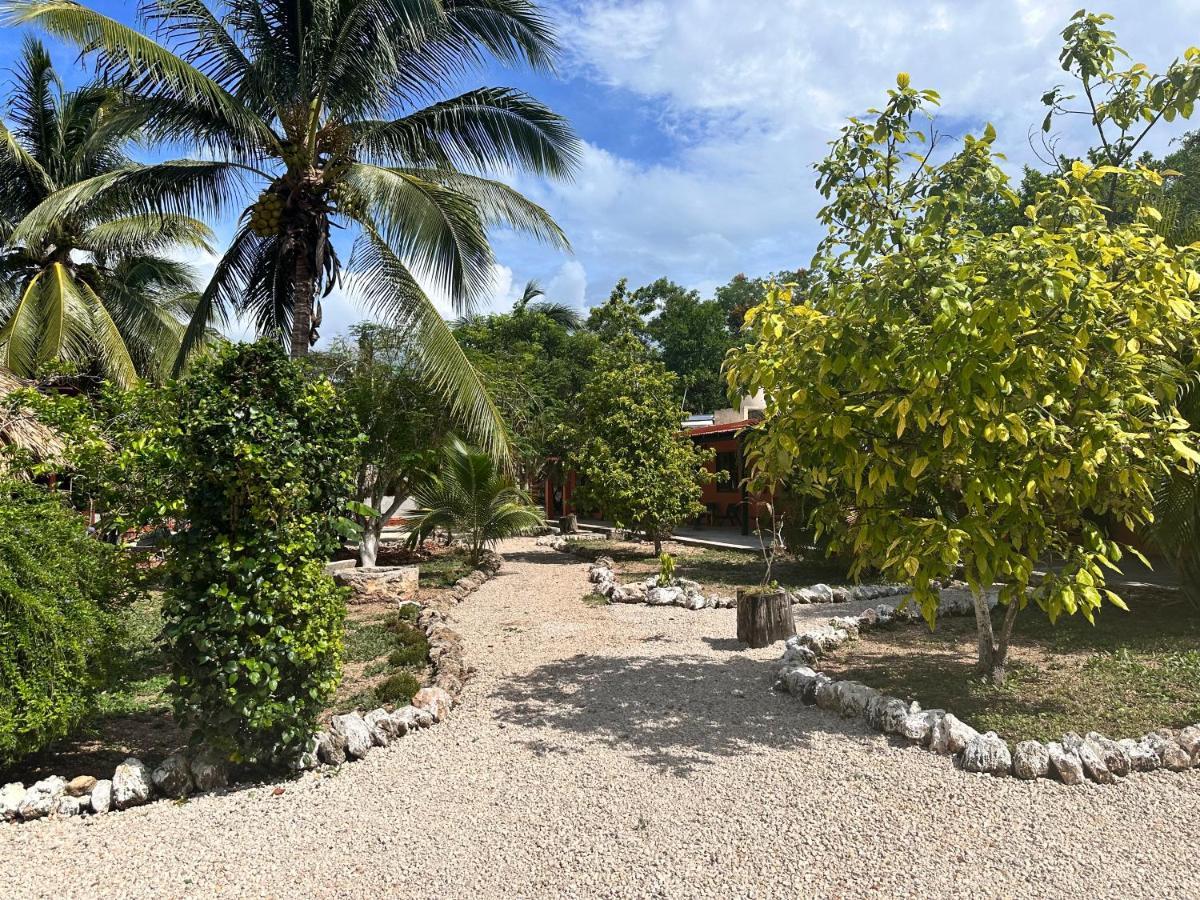 Hotel Bacalar Sunshine Extérieur photo