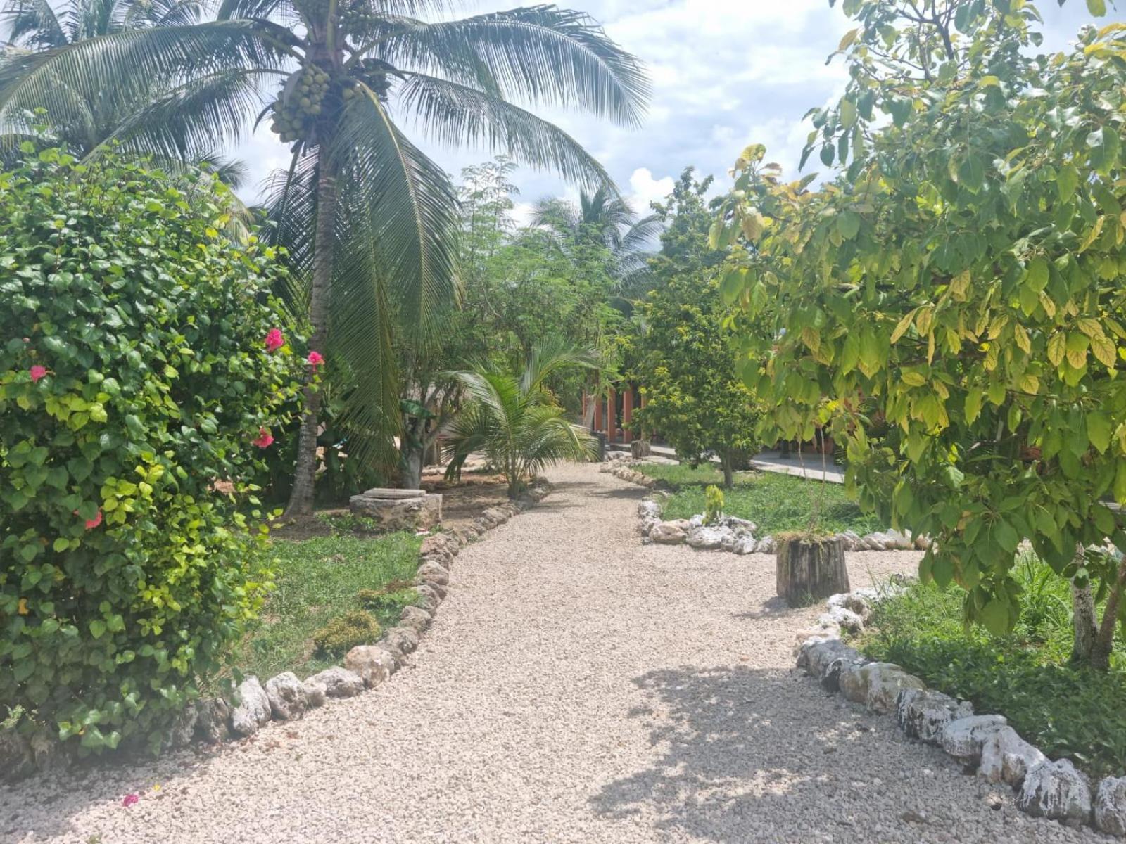 Hotel Bacalar Sunshine Extérieur photo